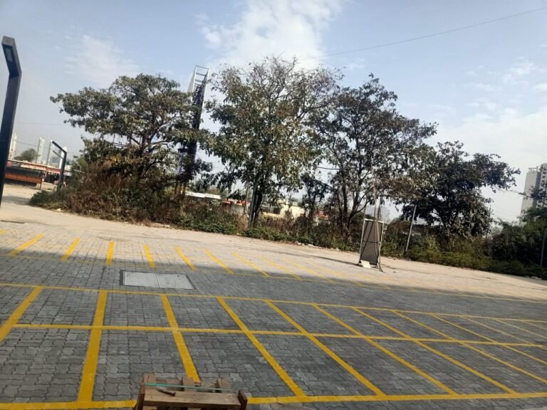 WhatsApp Image 2025-03-19 at 3.04.26 PM